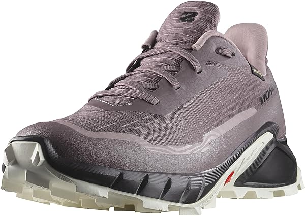 SALOMON Alphacross 5 Gore-tex Yürüyüş ayakkabısı Kadın