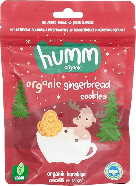 Humm Organic Organik Zencefilli Tarçınlı Vegan Kurabiye 1 Paket(55 Gr x 1 Adet)