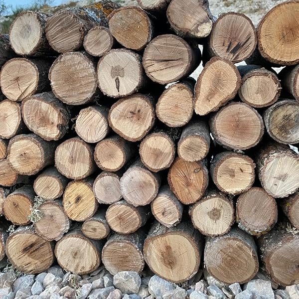 MEŞE ODUNU, ŞÖMİNE ODUNU 15KG