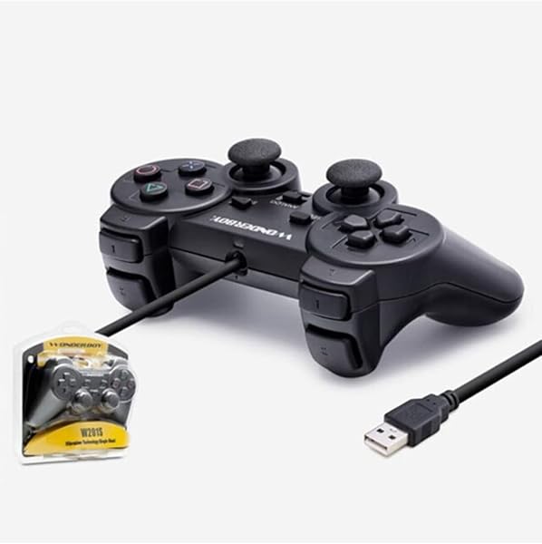 Wonderboy Pc Oyun Kolu W201s