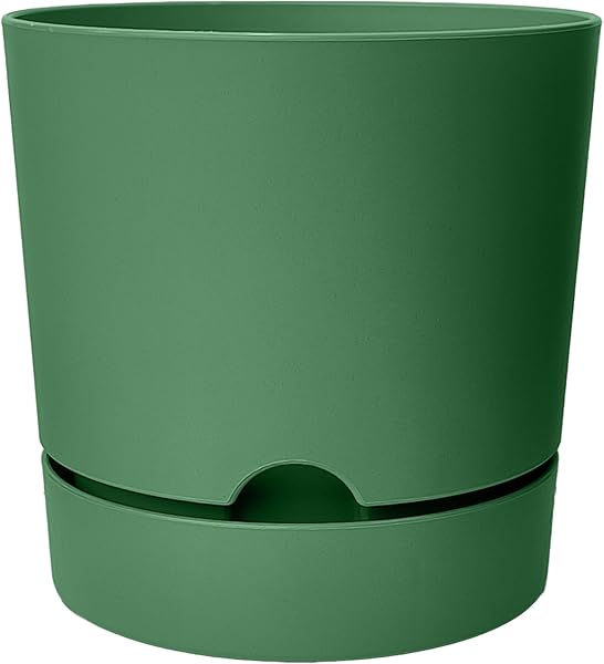 ToXA Begonya Saksı Tabaklı Drenajlı Mat Plastik Çiçek Saksısı (Yeşil, 5 Litre)