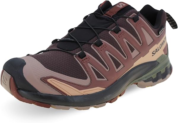 Salomon XA PRO 3D V9 GTX Yürüyüş Ayakkabısı Erkek