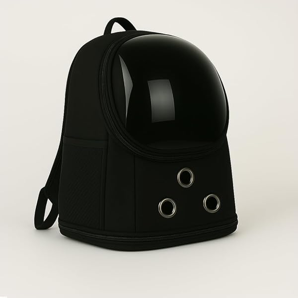 BEYLİNİ Fileli Şeffaf Yıkanabilir Evcil Hayvan Taşıma Çantası Uçuş Kurallarına Uygun Büyük Kedi Küçük Köpekler İçin Seyahat Ç