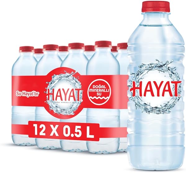 Hayat Doğal Mineralli Su (12 x 500 ml)