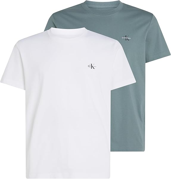 Calvin Klein 2 PACK MONOLOGO T-SHIRT T-shirt Erkek