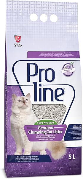 Proline Lavanta Kokulu Kedi Kumu 5 L