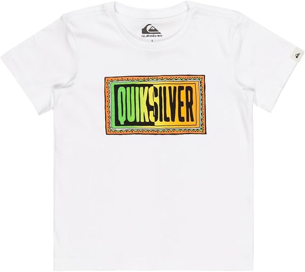 Quiksilver DAY TRIPPER SS BOY Tişört Erkek çocuk