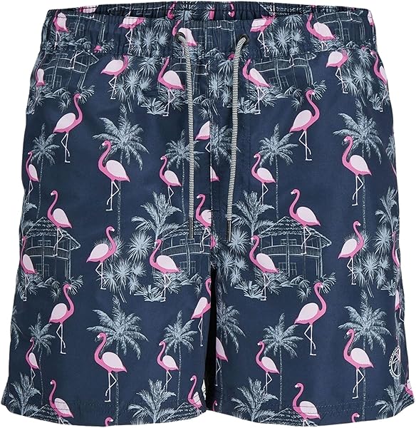 JACK & JONES JPSTFIJI JJSWIM AOP SS24 LY SN Mayo Erkek