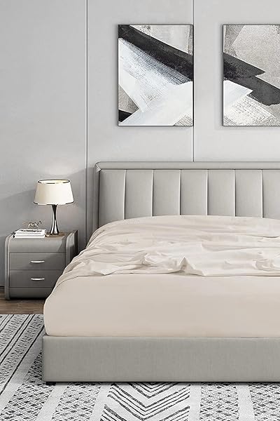 Soley | Jersey |%100 Doğal Pamuklu Tek/Çift Kişilik Lastikli Çarşaf EKRU