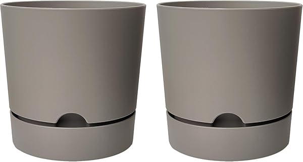 ToXA Begonya Saksı Tabaklı Drenajlı Mat Plastik Çiçek Saksısı (2 Adet, 9 Litre, 25cm, Bej)