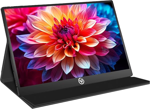 NPO NPM6 15.6" IPS FHD 5ms 60Hz Type-C Telefon ve Oyun Konsolu Uyumlu Metal Kasa Taşınabilir Monitör